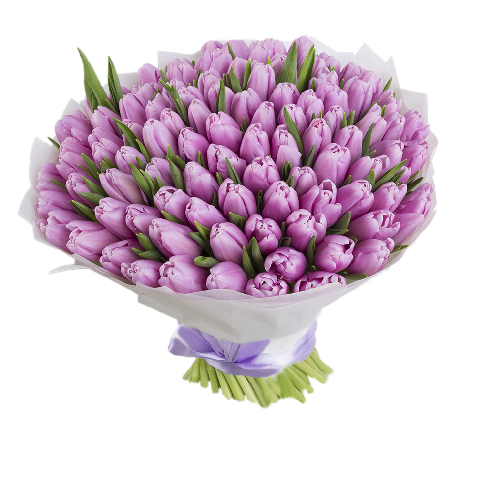 101 фиолетовый тюльпан 101 фиолетовый тюльпан