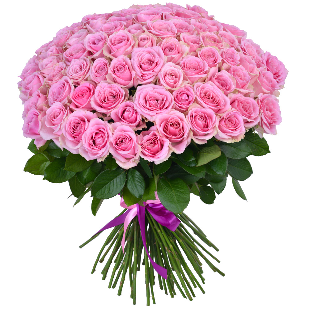 75 розовых роз Premium 60 см 75 розовых роз Premium 60 см