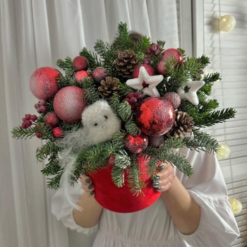 Зимняя композиция с живой елью в бархатной коробке